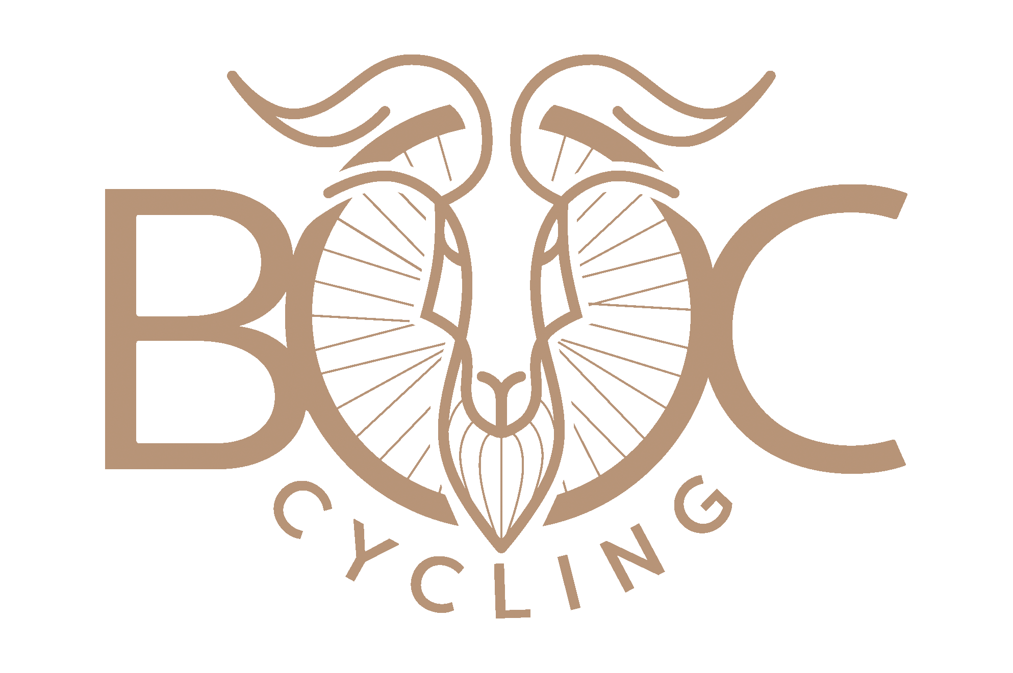 boc-cycling